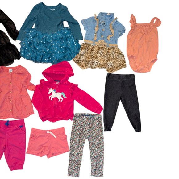 Huge Lot 12 Toddler Girls Long Sleeve Top Shirt Hoodie Jacket Pants Dresses  2T - Picture 2 of 3